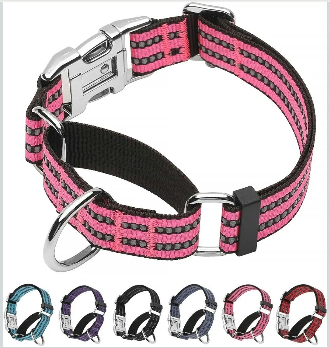 Engraved Pet Collar