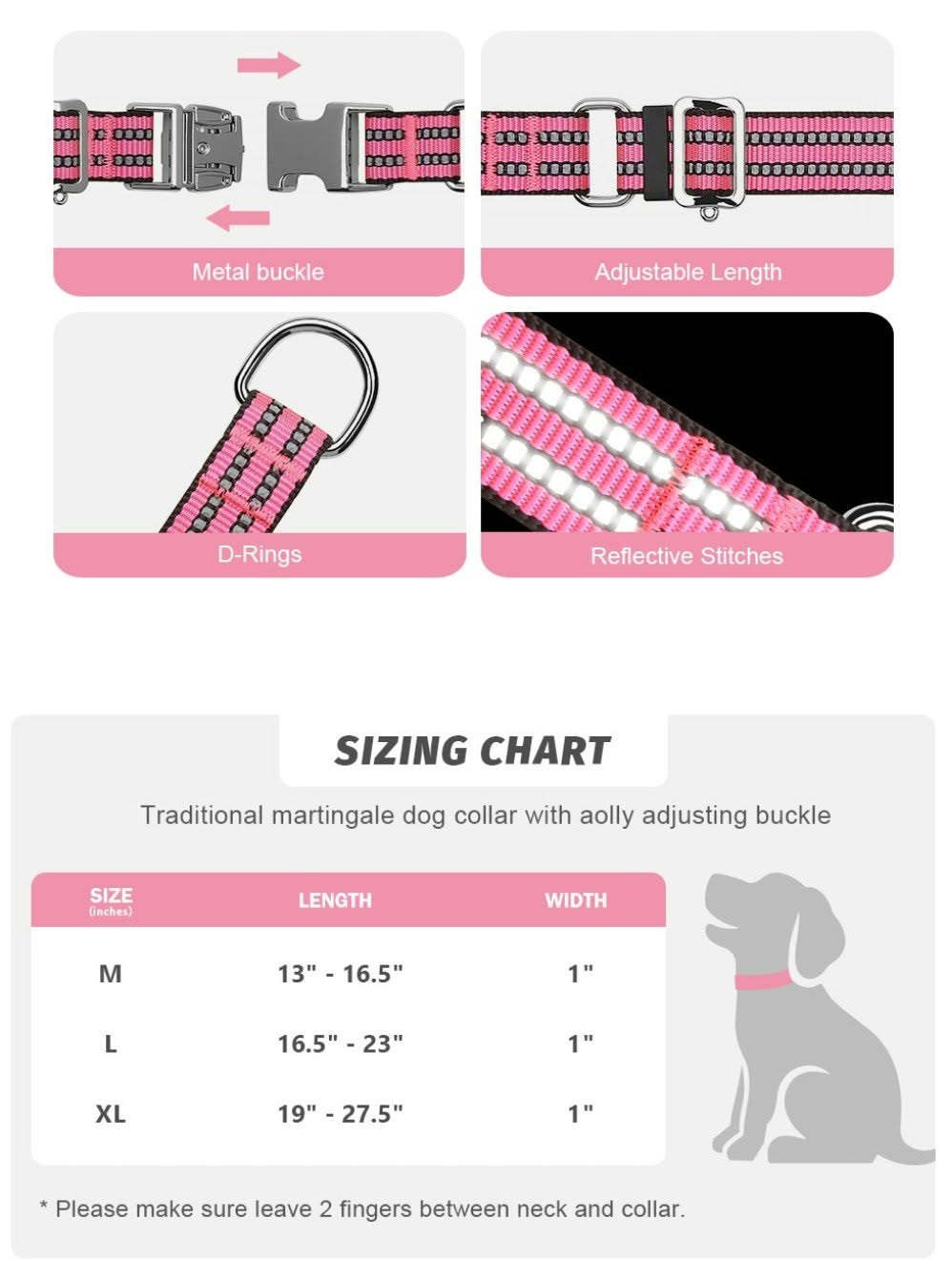 Engraved Pet Collar
