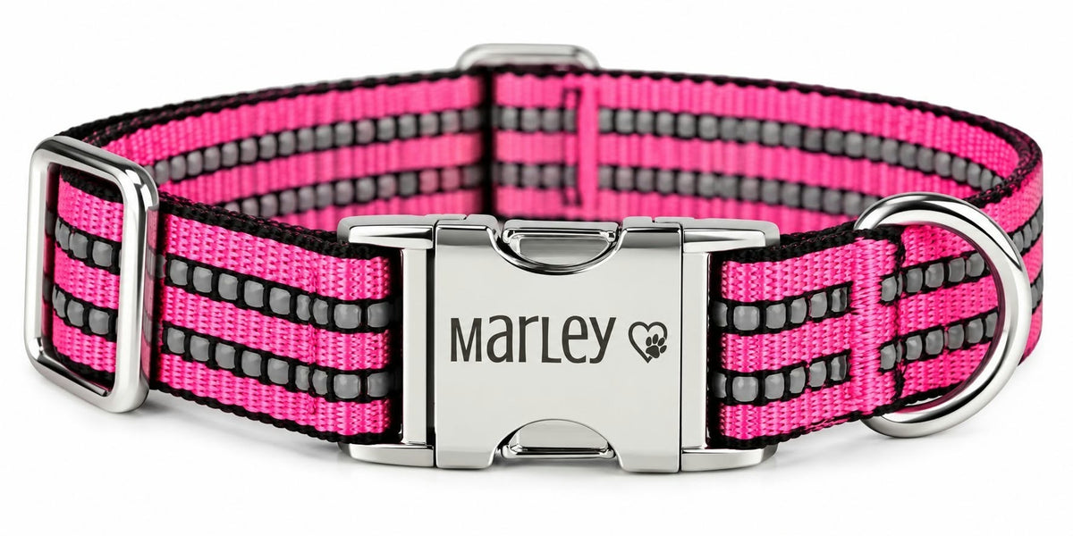 Engraved Pet Collar